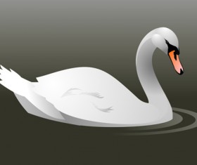 Vivid swans elements vector 01