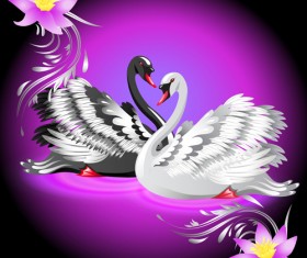 Vivid swans elements vector 04