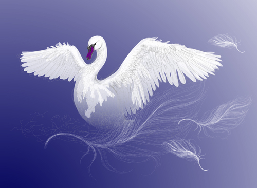 Vivid swans elements vector 05