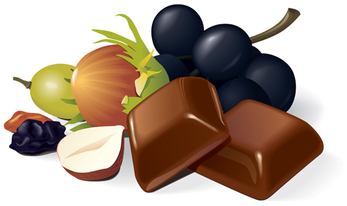 Set of Chocolate design elements vector 02