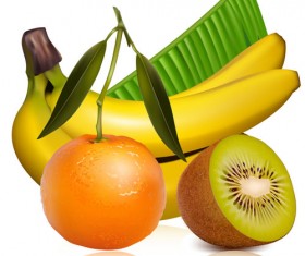 Different Fruit and green leaves vector 01
