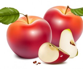 Different Fruit and green leaves vector 03