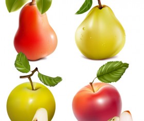 Different Fruit and green leaves vector 04