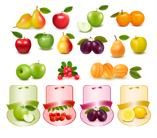 Vivid Fresh vegetables and fruits vector 01