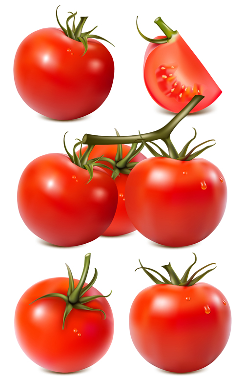 Vivid Fresh vegetables and fruits vector 03
