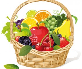 Vivid Fresh vegetables and fruits vector 04