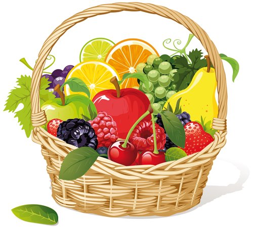Vivid Fresh vegetables and fruits vector 04