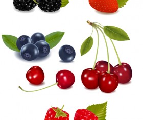 Vivid Fresh vegetables and fruits vector 05