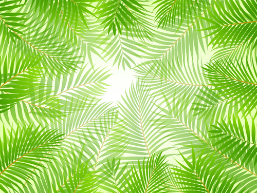 Elements of Tropical Scenery background vector 01
