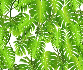 Elements of Tropical Scenery background vector 03