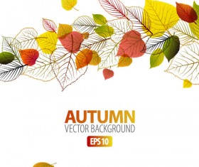 autumn leaves elements background vector set 04