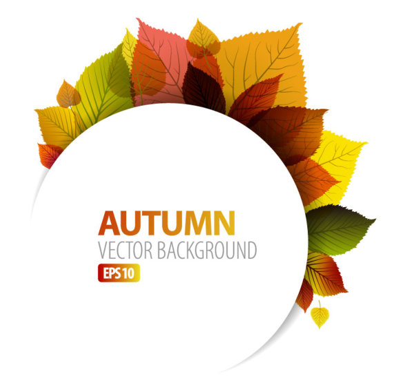 autumn leaves elements background vector set 05