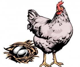 Elements of Hen with egg design vector