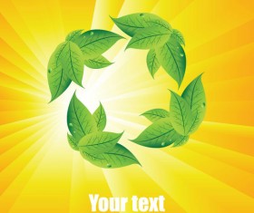 Summer sun and green leaves vector background set 04