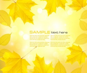 Autumn of Maple leaf vector background set 01