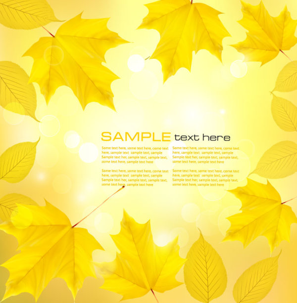 Autumn of Maple leaf vector background set 01