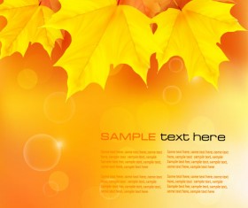 Autumn of Maple leaf vector background set 02