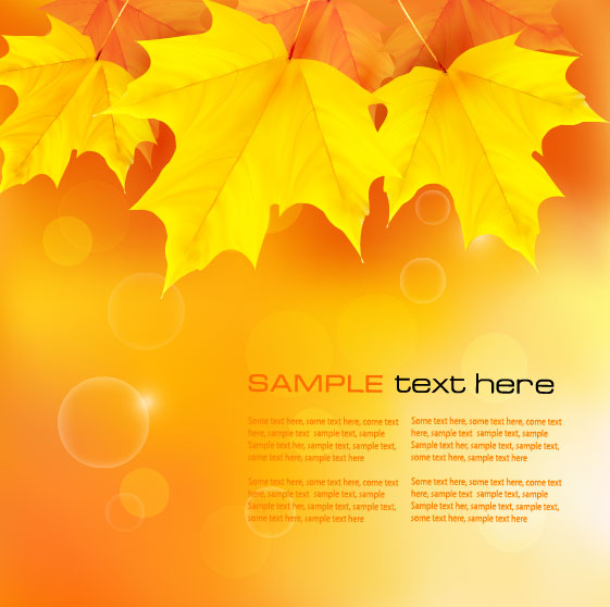 Autumn of Maple leaf vector background set 02