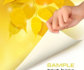 Autumn of Maple leaf vector background set 03