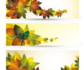 Bright leaves banner design vector set