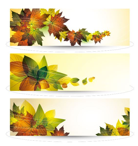 Bright leaves banner design vector set