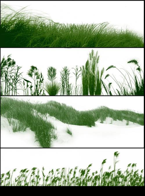 realistic grass brush photoshop