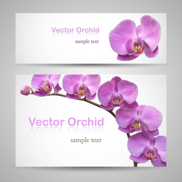 Vivid with flower banner design vector 02