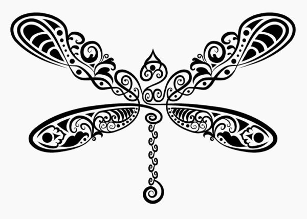 Hand drawn Dragonfly Decoration Pattern vector