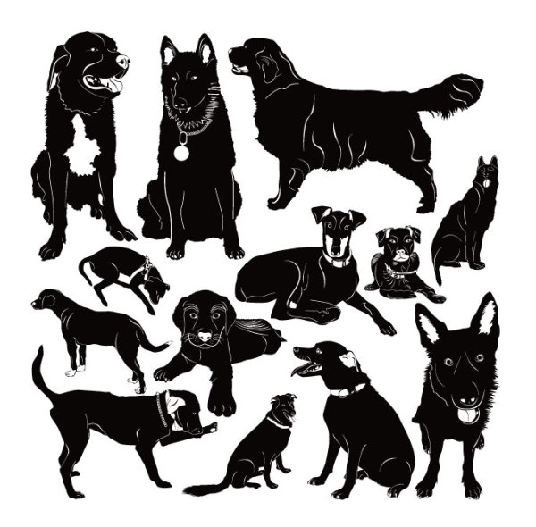 Different dog vector Silhouettes graphic