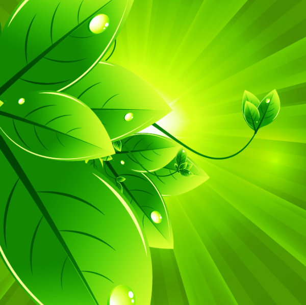 Set of Eco friendly with green Leaves background vector 04