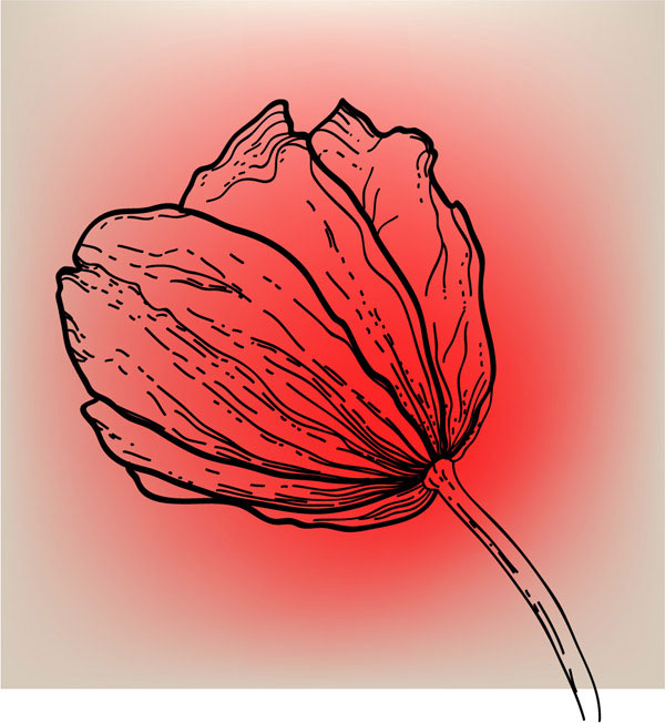 Vivid Hand drawn Tulip background vector 01