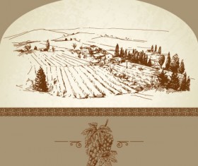 Hand drawn Harvest vineyard elements vector 01