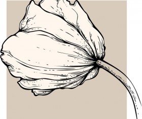 Vivid Hand drawn Tulip background vector 05