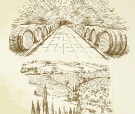 Hand drawn Harvest vineyard elements vector 04