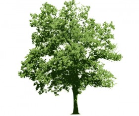 Different tree design elements vector 02