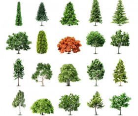 Different tree design elements vector 03