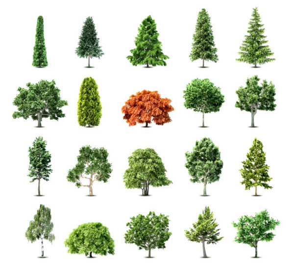 Different tree design elements vector 03