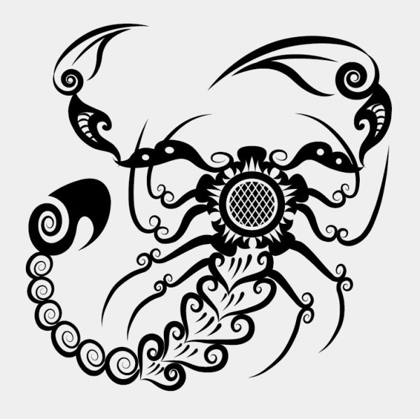 Hand drawn Scorpion Decoration Pattern vector