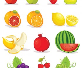 Various tasty Fruit elements vector 01