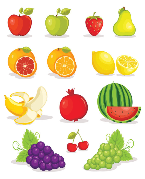 Various tasty Fruit elements vector 01