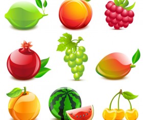 Various tasty Fruit elements vector 02
