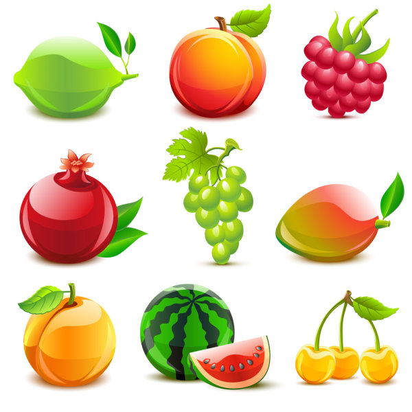 Various tasty Fruit elements vector 02