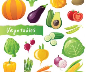 Different Fresh vegetables vector graphics 01