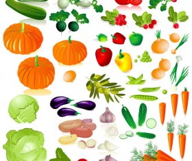 Different Fresh vegetables vector graphics 02