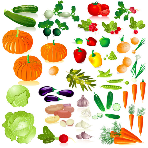 Different Fresh vegetables vector graphics 02