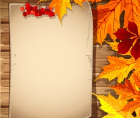 Autumn elements and gold leaves background vector 01