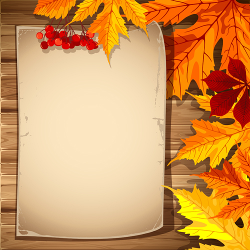 Autumn elements and gold leaves background vector 01