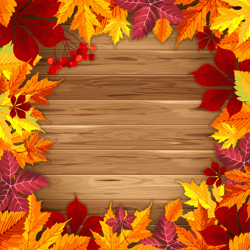 Autumn elements and gold leaves background vector 03