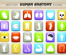 Set of Different Medical icons vector 03
