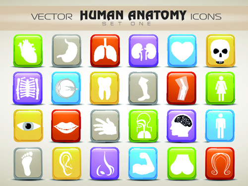 Set of Different Medical icons vector 03